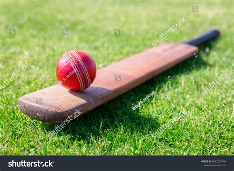 cricket ball  bat