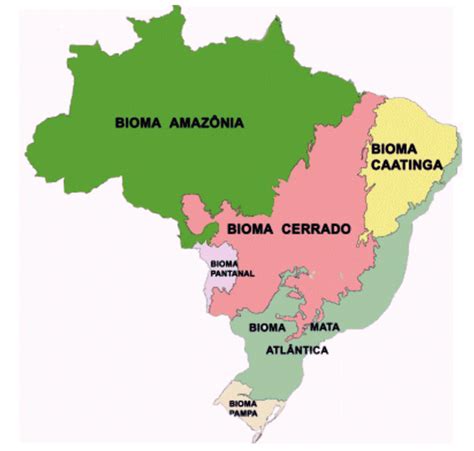 Figura Biomas Do Brasil Fonte Ibge Mapa De Biomas