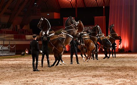 Week End Gala Du Cadre Noir De Saumur Les Galas Du Bicentenaire