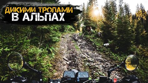 БЕЗУМНОЕ приключение в Альпах на мотоцикле Yamaha XT600 Tenere ...