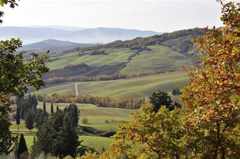 Private Val Dorcia Full Day Wine Tour From Florence Getyourguide