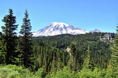 Mount Rainier Landscape Photograph By Richard Hoffkins Fine Art America