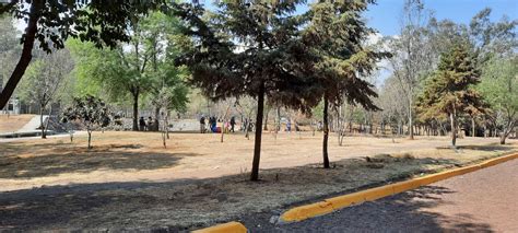 Bosque De Nativitas Xochimilco Cdmx Lugares Para Visitar