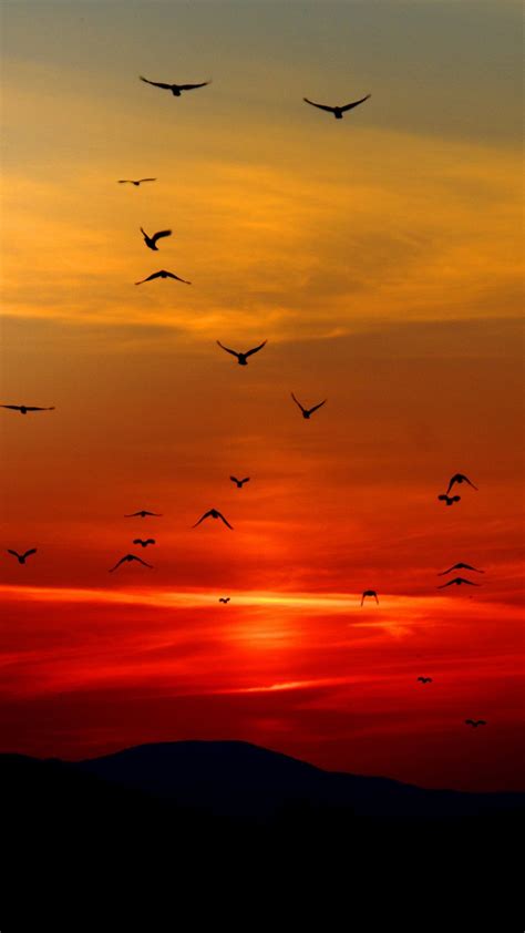 Sunset Phone Wallpapers - 4k, HD Sunset Phone Backgrounds on WallpaperBat