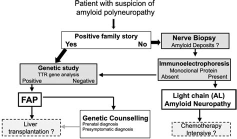 Management of patient with suspected amyloid neuropathy. | Download ...