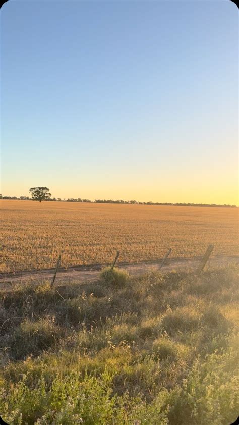 Peta Credlin AO | Thursday night, meet the man behind the politics. My