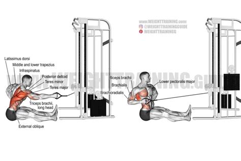 Cable Pull Through Exercise Guide And Videos Weight Training Guide