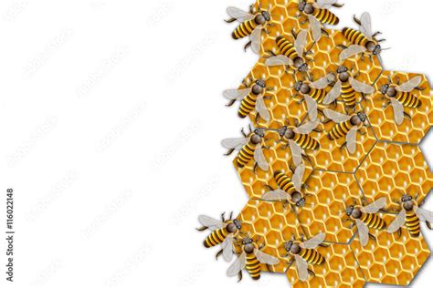 Bienen Auf Honigwaben Stock Vector Adobe Stock