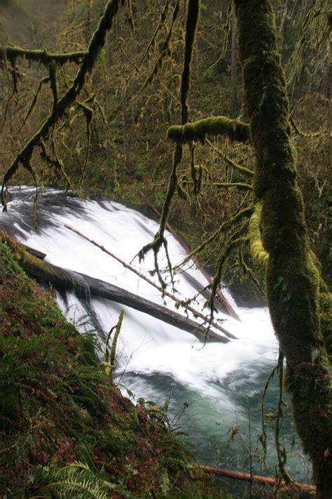 Silver Falls State Park Waterfalls Guide - World of Waterfalls