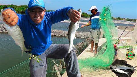 PESCADORES PESCAN PECES GRANDES DEL RÍO CON RED La Pesca YouTube