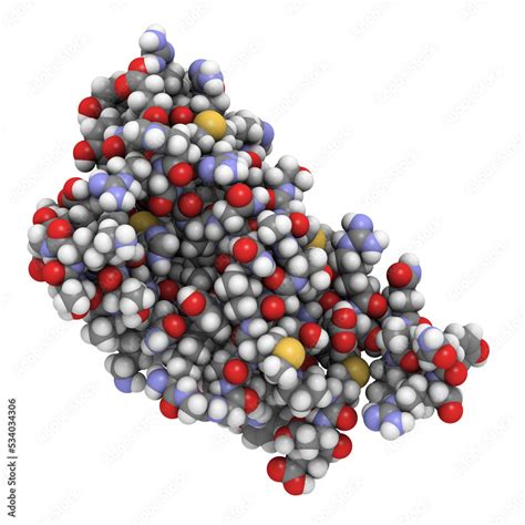 Human Prion Protein Molecule HPrP Chemical Structure HPrP Is