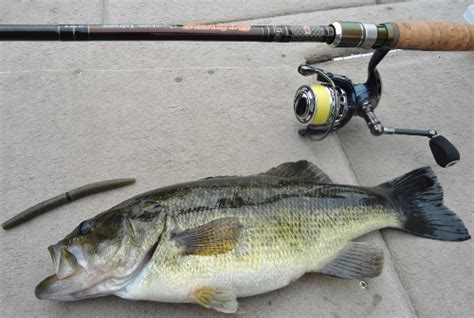 Wacky Worm Rig Hooks Smallmouth And Largemouth Bass In Depth Outdoors