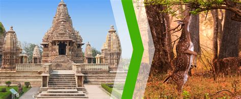 Nights Days Panna National Park Tour Package From Khajuraho Best Cost