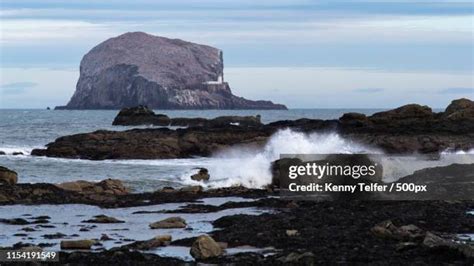 71 Bass Rock Lighthouse Stock Photos, High-Res Pictures, and Images ...