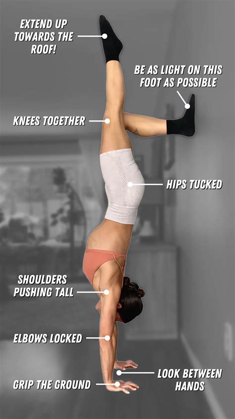 Handstand Workout Pdf | EOUA Blog