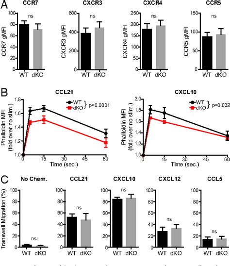 Figure 1 from Ena/VASP proteins regulate activated T-cell trafficking ... 