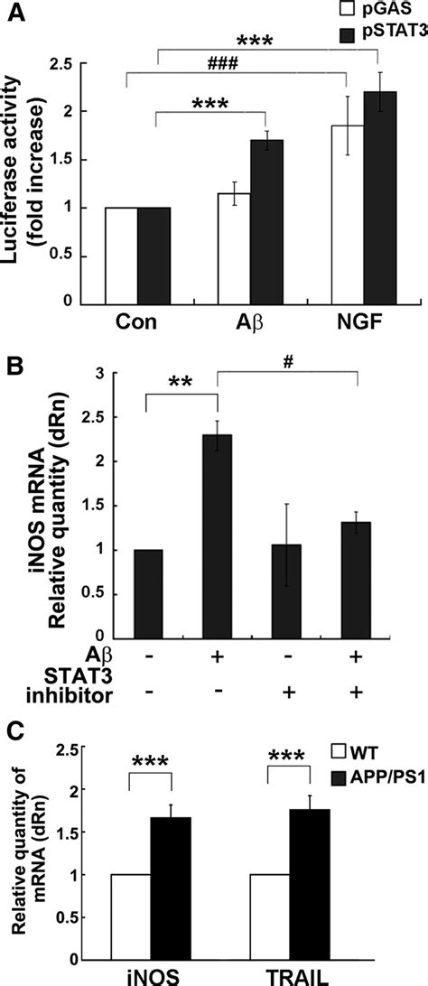 Inhibition Of Stat Activation Reduces A Induced Gene Transcription A