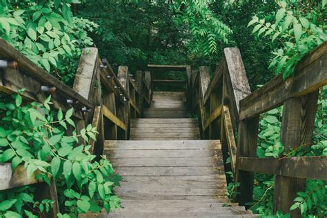 Red River Gorge Camping: Helpful Tips You Should Know