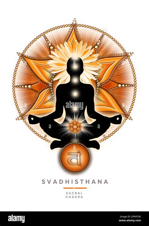 Sacral Chakra Meditation In Yoga Lotus Pose In Front Of Svadhisthana