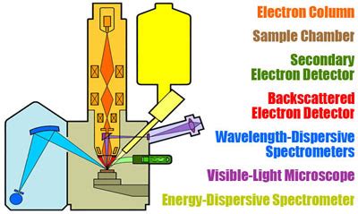 Electron Probe Micro Analyzer EPMA