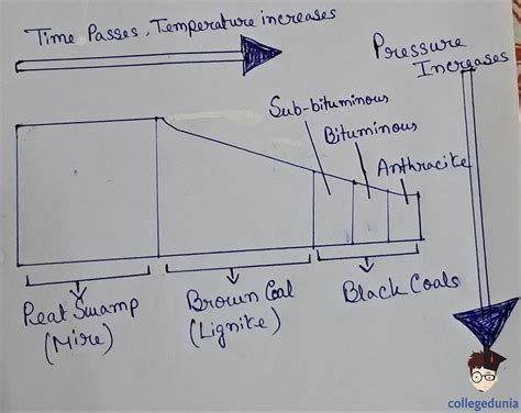 Formation of Coal: Types & Uses