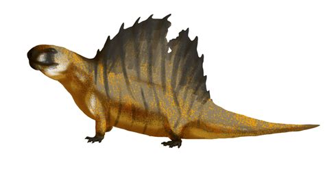 Dimetrodon By An Artist On Deviantart Prehistoric Animals Ancient