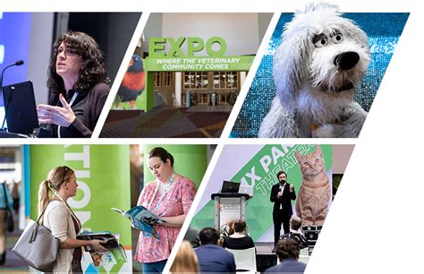 Unveiling the Latest Trends at Midwest Veterinary Conference 2025!