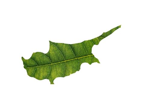 Premium Photo Cyprus Map Made Of Green Leaves On Soil Background