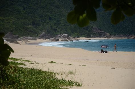 Praia De Fora Em Trindade Paraty Rj Portal De Trindade