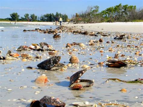 Fort Desoto Park Beaches, Florida.