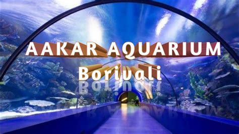 Borivali Under Water Aquarium Mumbai Ka Aquarium Machle