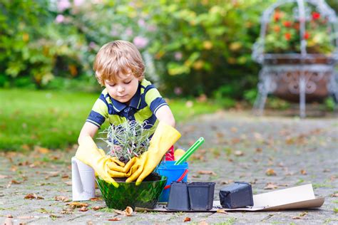 Cómo hacer un jardín para niños ideas y consejos divertidos para su