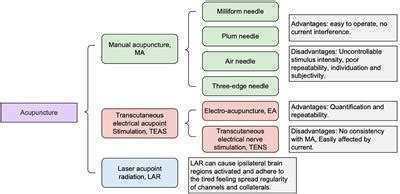 Frontiers Functional Magnetic Resonance Imaging Providing The Brain