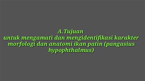 Morfologi Dan Anatomi Ikan Patin Pangasius Hypophthalmus Youtube