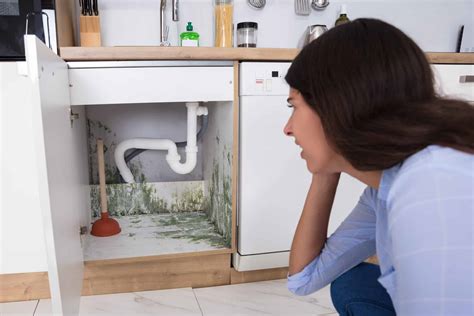 Most Common Places For Kitchen Mold Air Quality Consultants