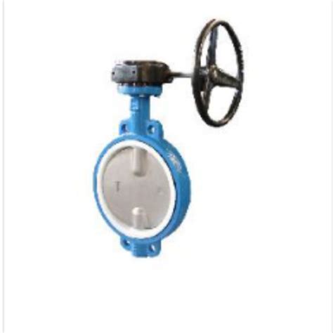 Pn10 Pn16 Two Shaft With Gear Box Wafer Butterfly Valve