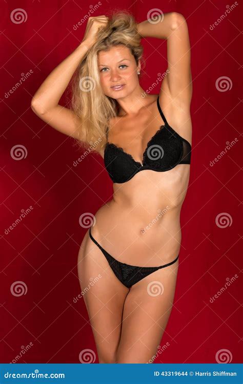 Black Lingerie Stock Photo Image Of Beautiful Undergarments 43319644