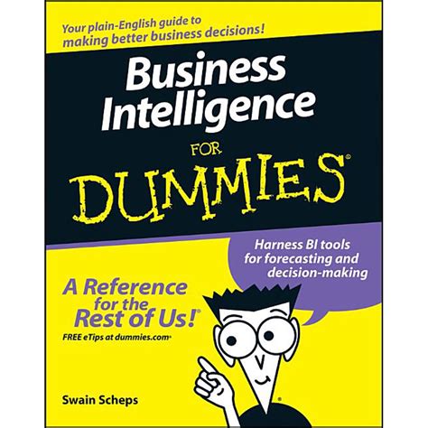 For Dummies Business Intelligence For Dummies Paperback