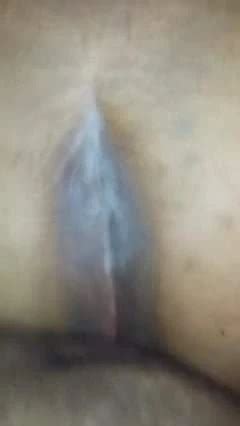 Free Ssbbw Anal Porn Videos Xhamster