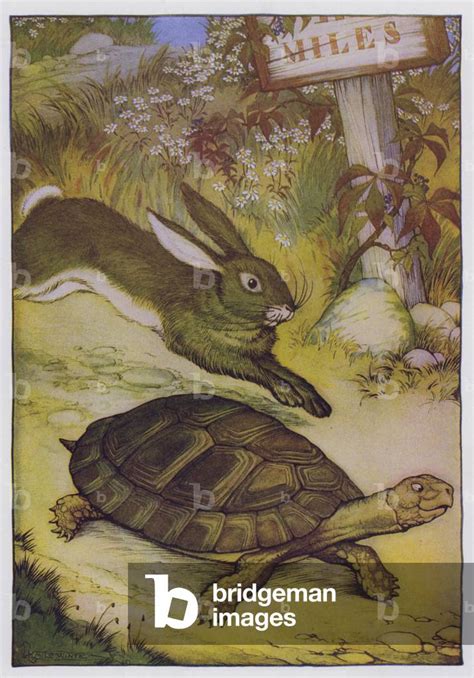 Image Of Aesop S Fables The Hare And The Tortoise Colour Litho By