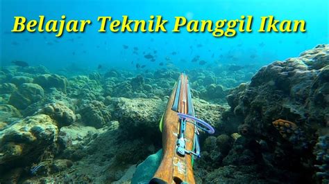 Spearfishing Ternyata Begini Cara Memanggil Ikan Youtube