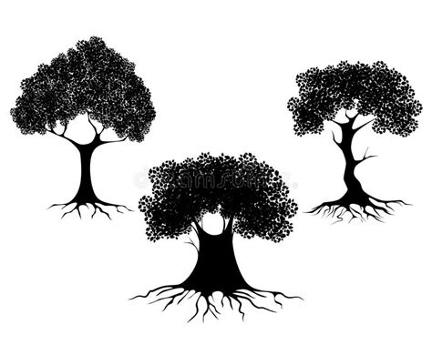 Three Trees Silhouettes Stock Vector - Image: 53512494