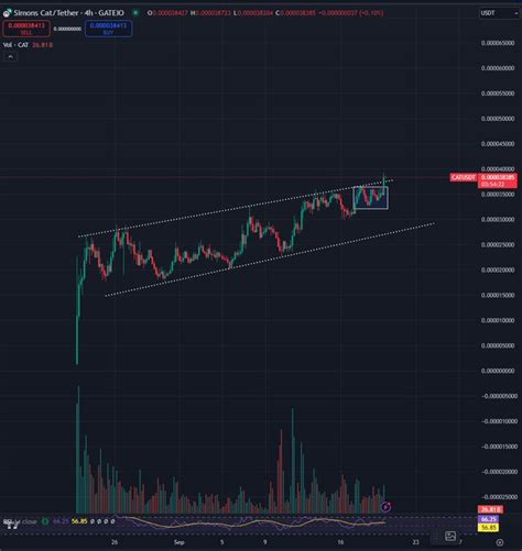 Memecoin Thats Exploded Nearly 300 In A Month On Cusp Of ‘face