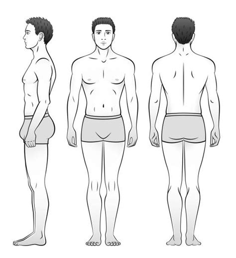 6400 Human Body Outline Front Back Stock Illustrations Royalty Free