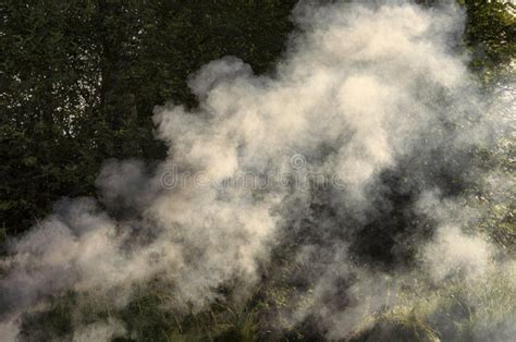 Smoke From A Rural Fire Blows Away By The Wind Stock Image Image Of