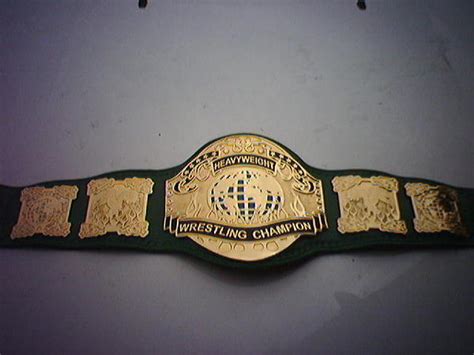 PWG World Championship - Pro Wrestling Wiki - Divas, Knockouts, Results, Match histories, Titles ...