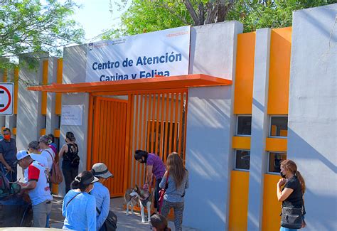 Concluye ciclo en el Centro de Atención Canina y Felina del