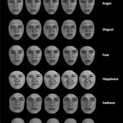 The Emotion Recognition Task Displayed Are Examples Of Facial