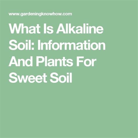 What Is Alkaline Soil: Information And Plants For Sweet Soil | Soil, Plants, Alkaline