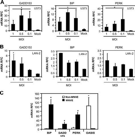 Activation Of Er Stress Genes By Wnv Infection Of Neurons And Glia A